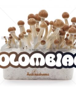 100% Mycelium Magic Mushroom Growkit Colombian