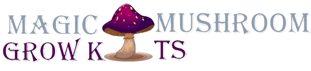 psilocybinmushroom.com